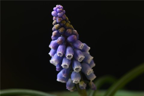 201903031551596196166264.jpg