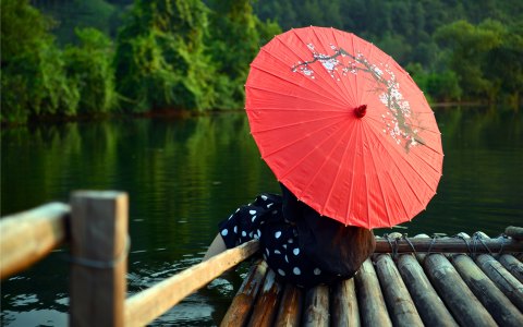 婺源及武夷山游记