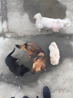 201708231503453309190257.jpg