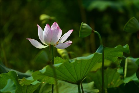 DSC_8876.JPG