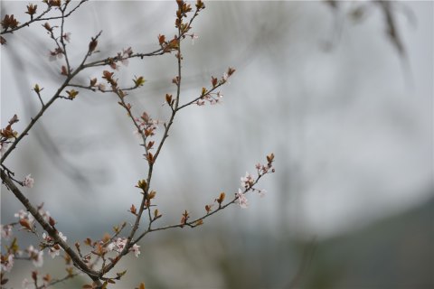 201803161521203906212382.jpg