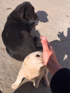 201708231503454064145398.jpg