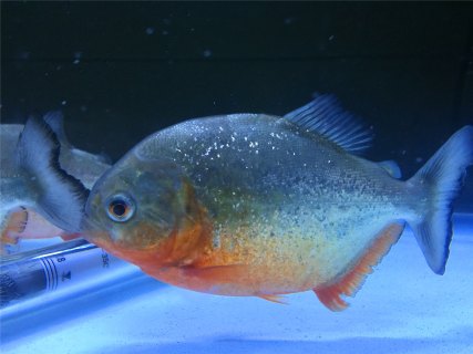 201708231503473023112741.jpg