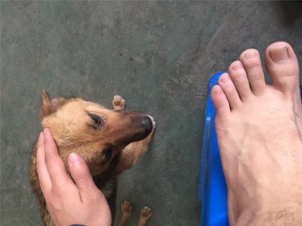 201708231503469836107177.jpg
