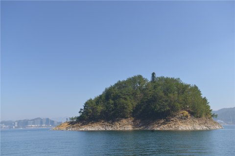 201803161521201784166494.jpg