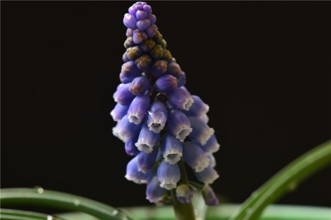 201903031551596196668794.jpg