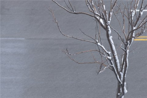 201803161521201040139290.jpg