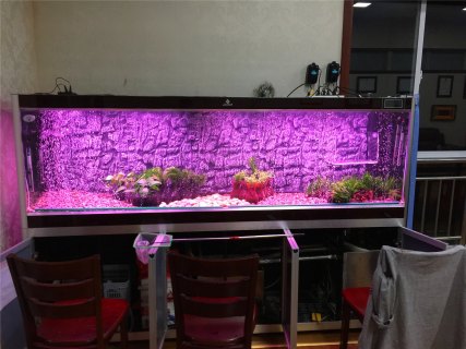 201708231503472773376635.jpg