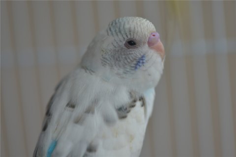 201708231503471266743636.jpg