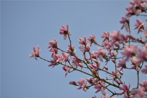 201803161521203905187334.jpg