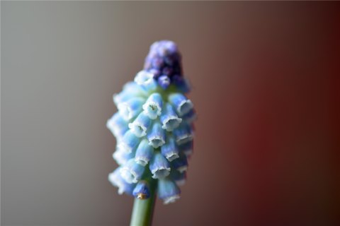 201708231503473881212657.jpg